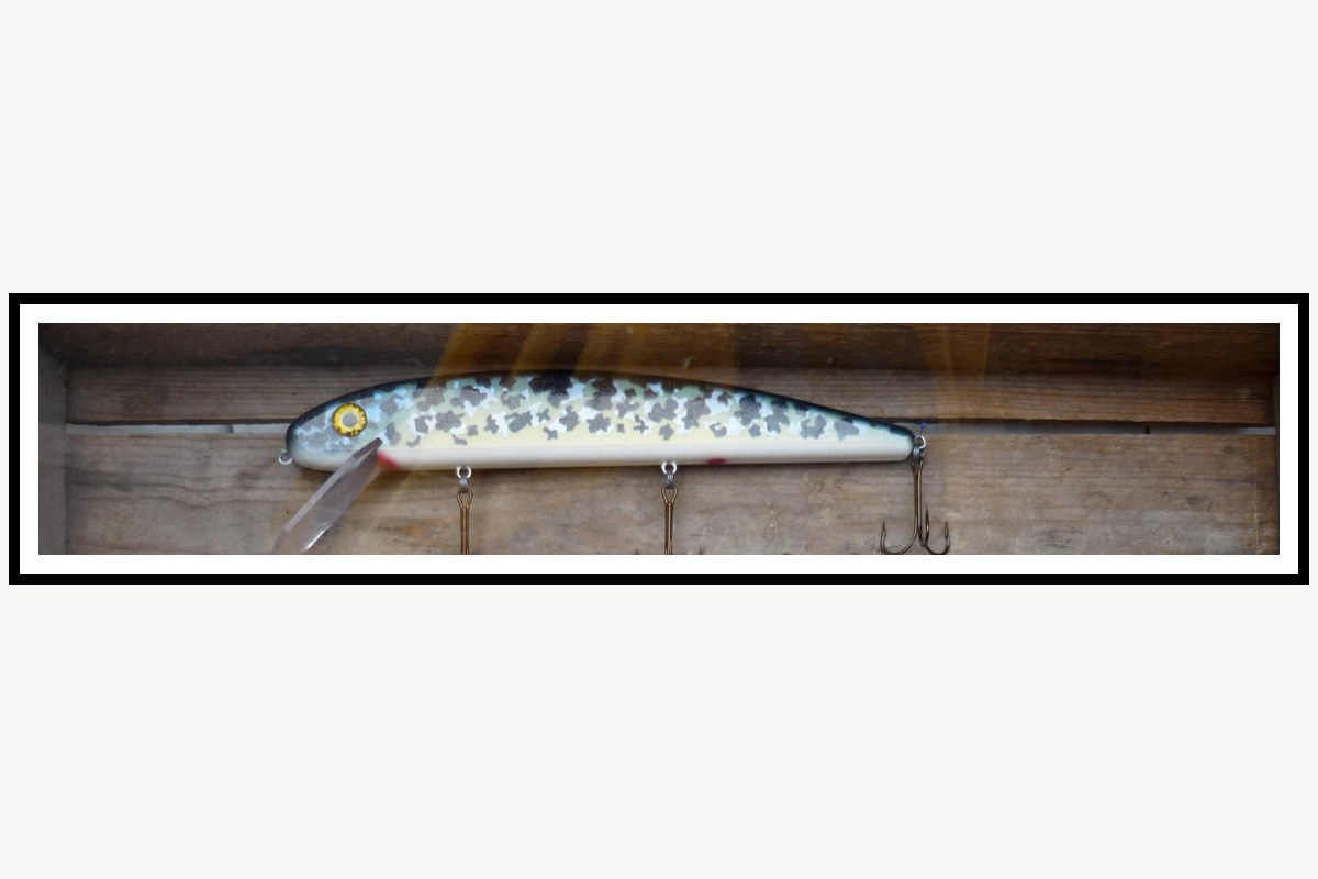 Real Floating Jerkbait fishing lure example
