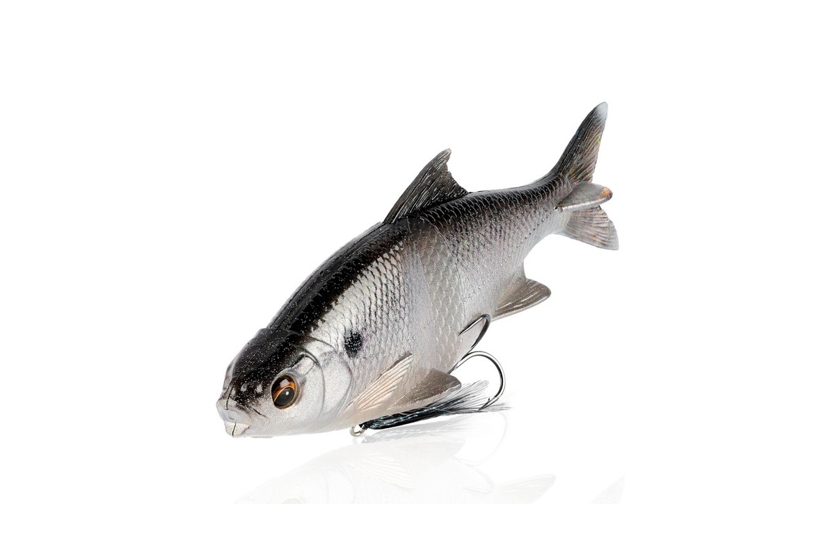 Real Hard Swimbait fishing lure example