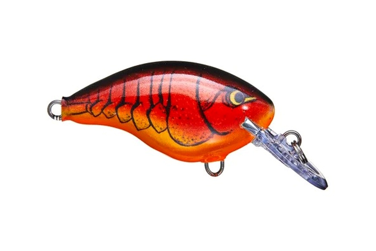 Real Shallow-Diving Crankbait fishing lure example