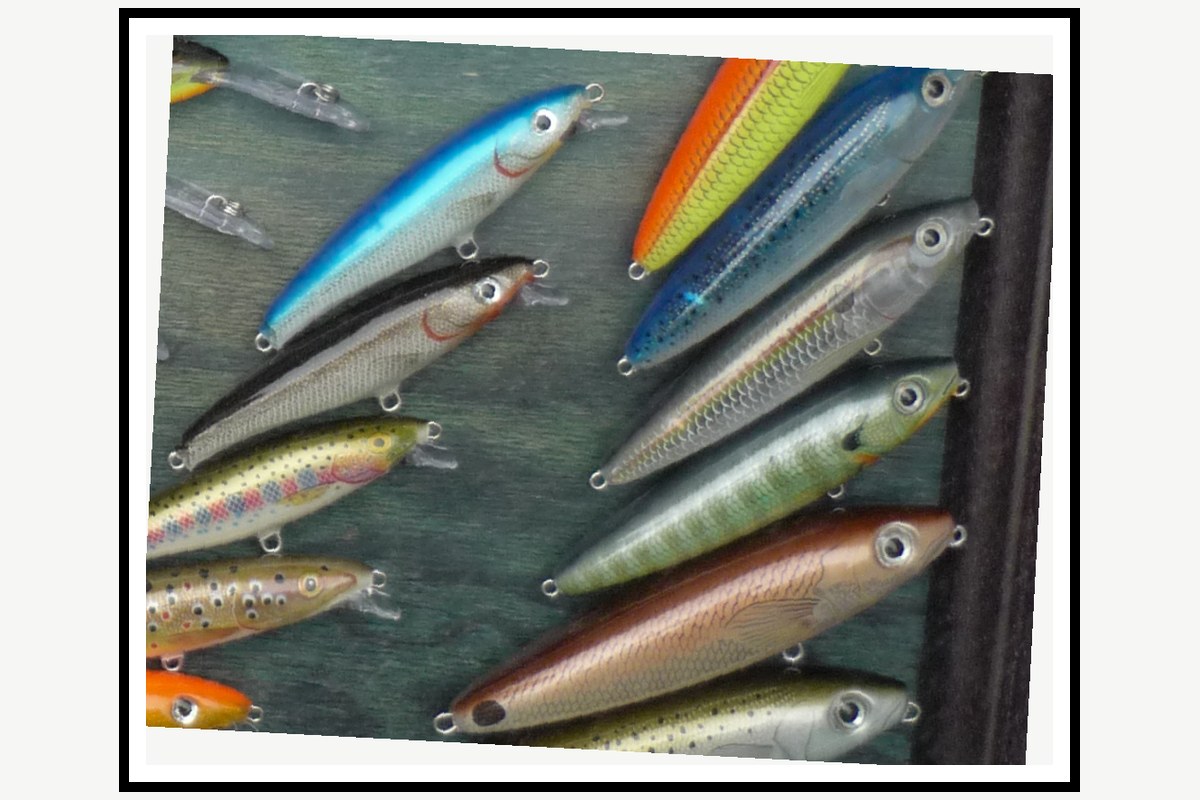 Real Suspending Jerkbait fishing lure example