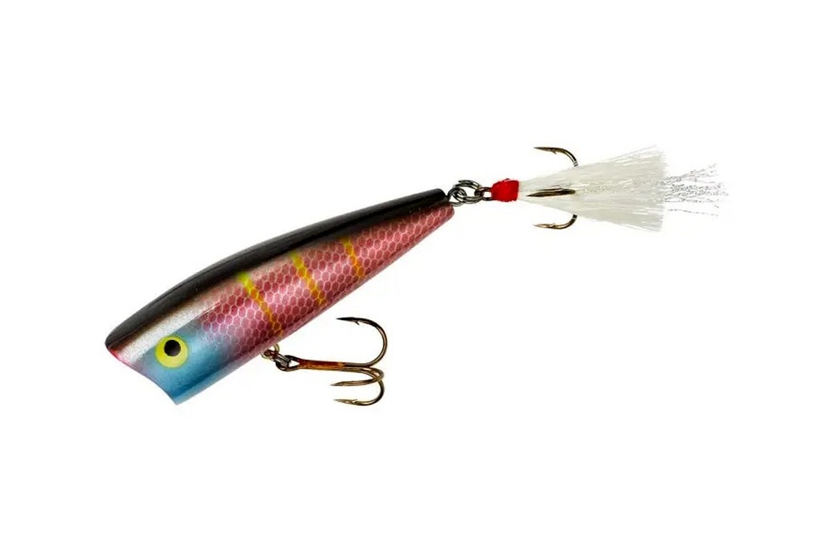Real Topwater Popper fishing lure example