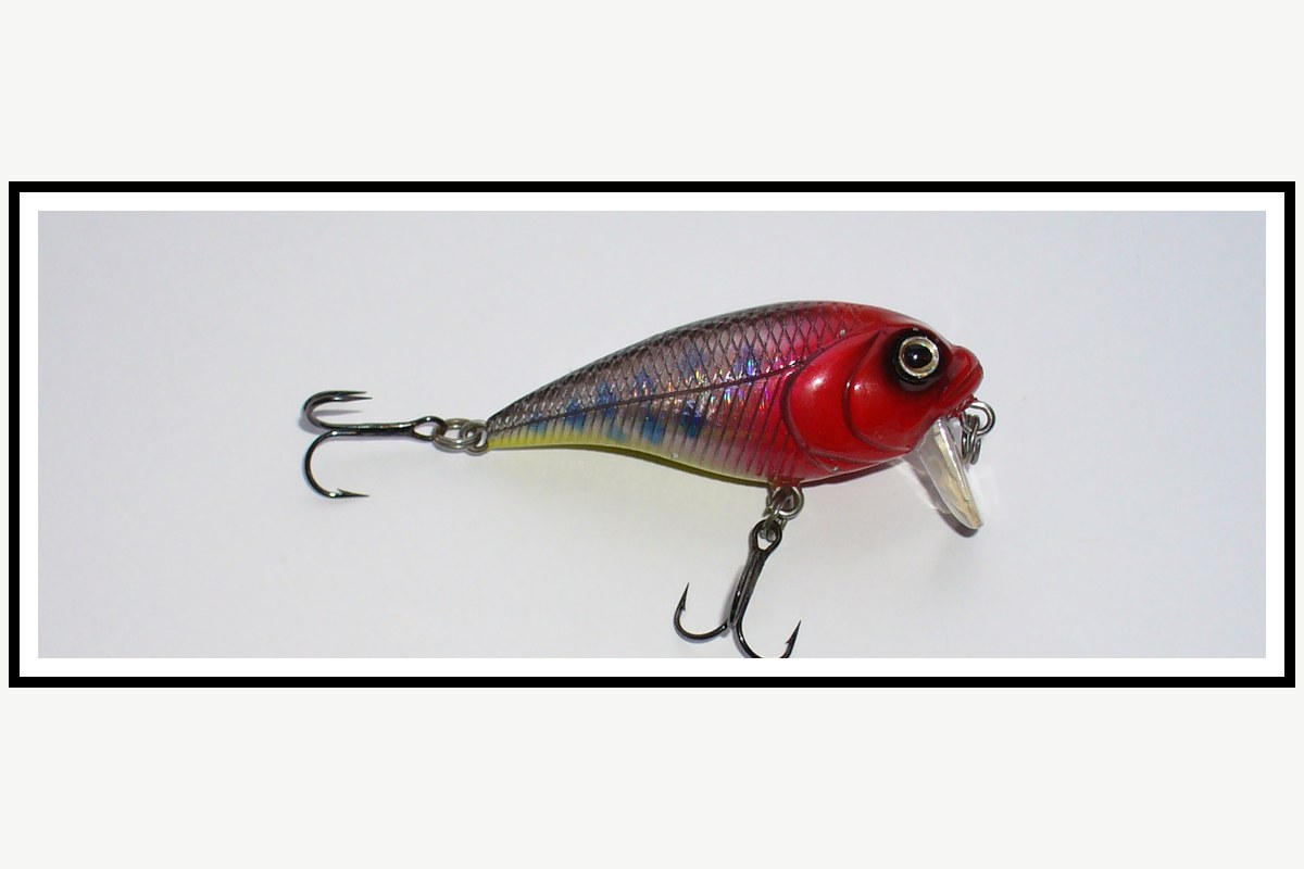 Real Wake Bait fishing lure example