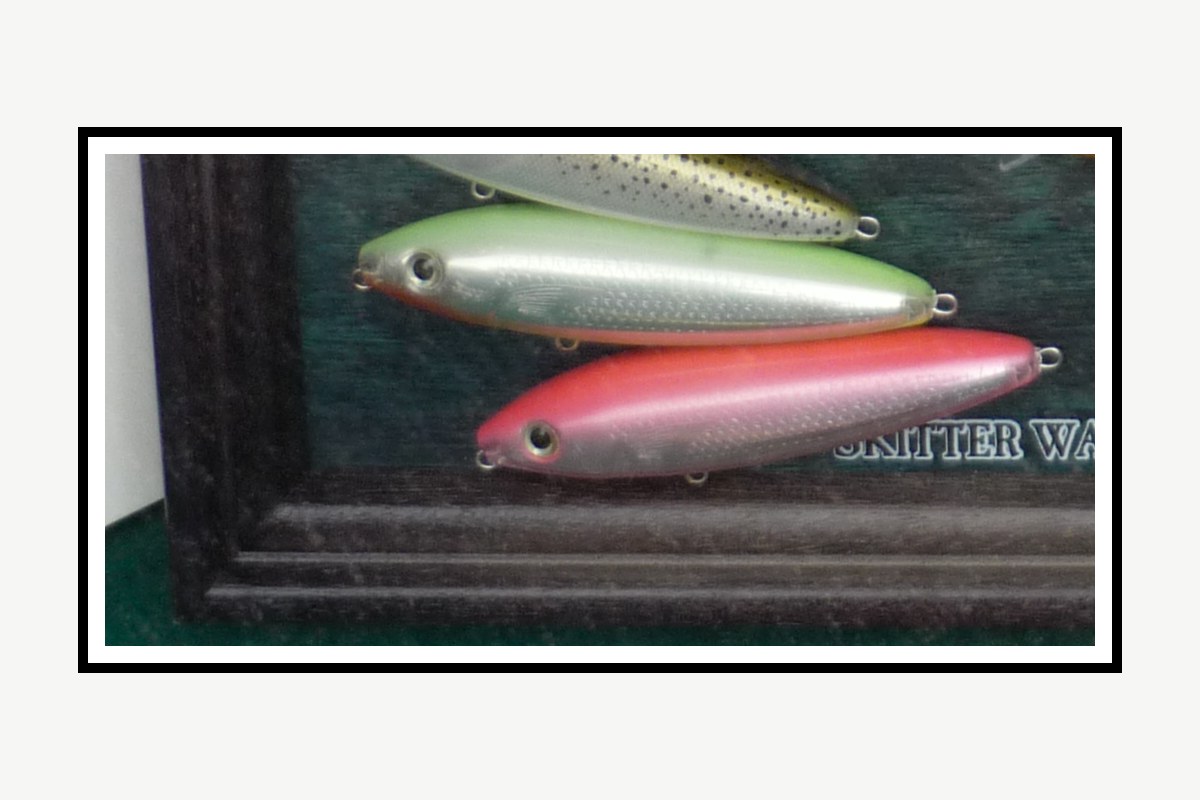 Real Walking Bait fishing lure example